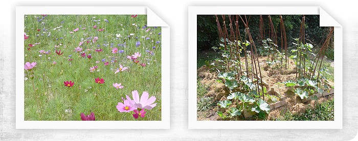 Terapeutická záhrada Fakultnej nemocnice v Brne