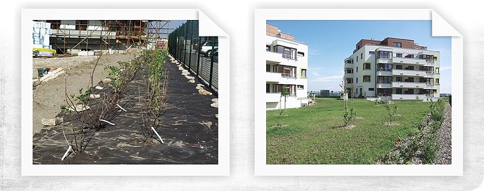 Mulčovanie ekotextilií v záhradných prvkoch obytného komplexu v pražskom Zličíne