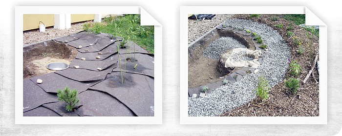 Predzáhradka bytového domu v Brne - Kohoutovice