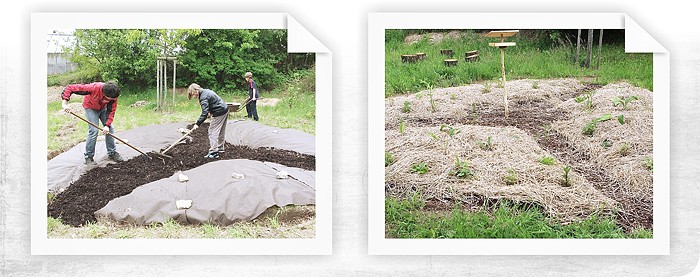 Prírodné školské záhrada základných škôl v Třešti