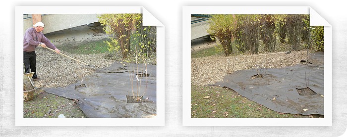 Prírodná záhrada v Starom Lískovci v Brne