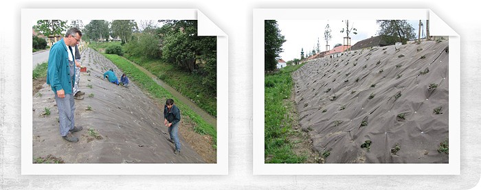 Protierózna ochrana svahu koryta potoka v obci Deštná