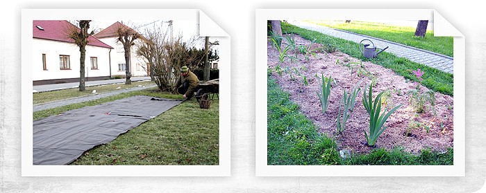 Trvalkový záhon v obci Oponešice