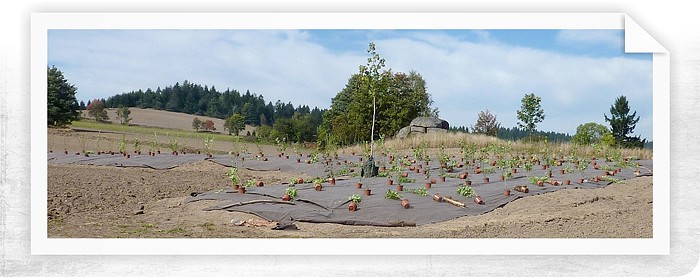 Založenie vetrolamu v krajině Českej Kanady