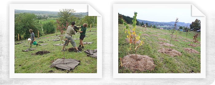 Založenie zmiešaného lesa na rodovom statku v Kozlenci
