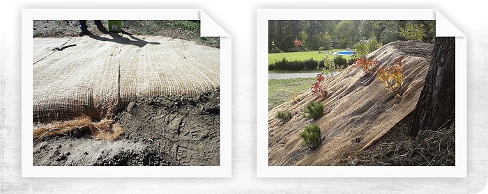 Protierózna ochrana a mulčovanie záhradného svahu v Prahe  