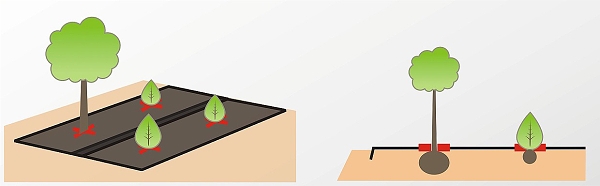 Výsadba do ekotextilie / mulčovací rohože