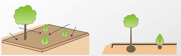 Použití mulčovací kůry nebo okrasného štěrku
