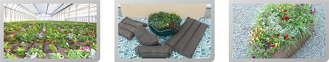 Bio-agrowłókniny w ogorodu