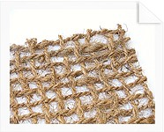 Protierozní rohože (sítě)